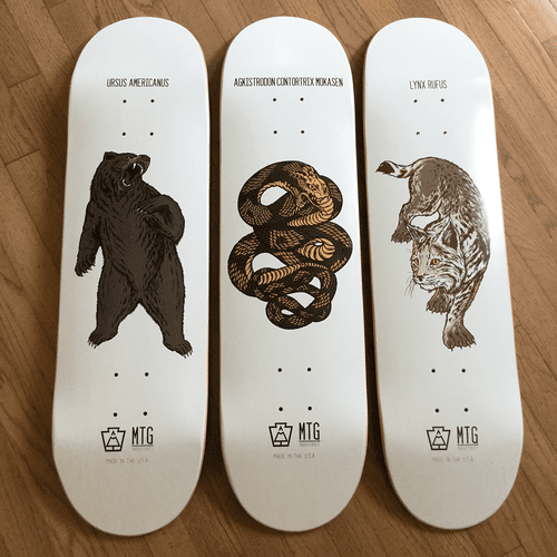 All three WildLife Series decks displayed side by side